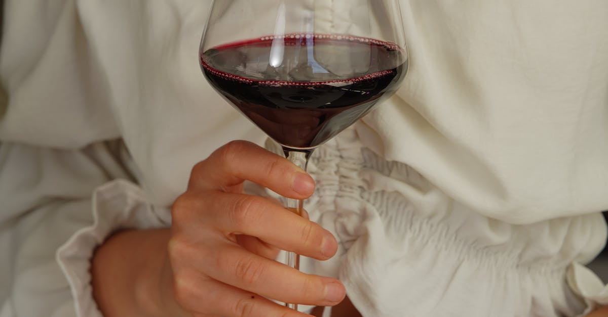 Top Wine Estate in Sonoma