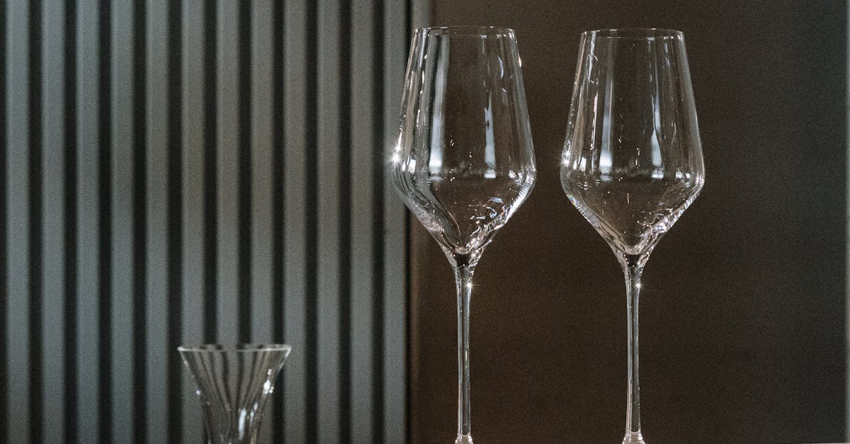 Premier Vineyard in Sonoma Valley