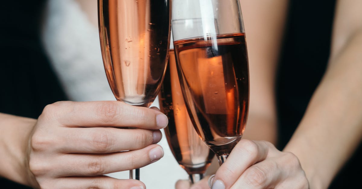 Premier Wine Estate in Sonoma